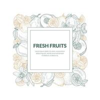 Square frame from the contours of different fruits. illustration. vector