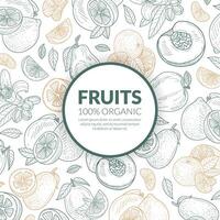 Circle with the inscription Fruit in the center of the pattern. illustration. vector