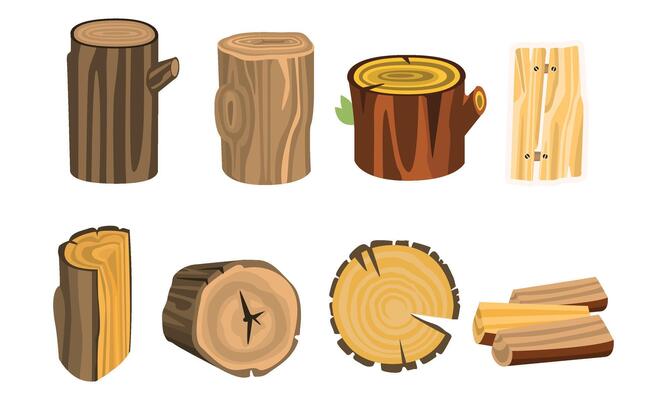 Wooden Stubs and Logs Set. Firewood and Crust Isolated on White Background