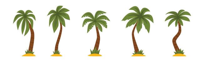 Palm Tree with Brown Trunk and Green Top Set vector