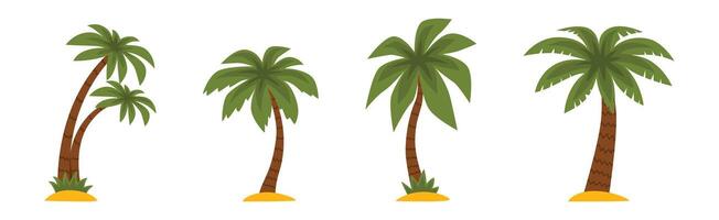 Palm Tree with Brown Trunk and Green Top Set vector