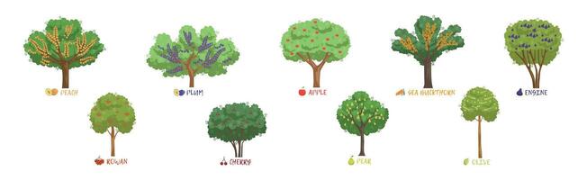 Different Fruit Trees Sorts with Names Set vector