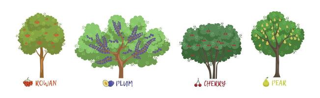 Different Fruit Trees Sorts with Names Set vector