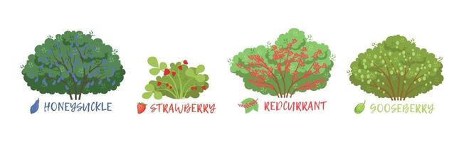 Different Fruit Shrub and Bush Sorts with Names Set vector