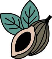 A close up of a chocolate pod with a leaf on top vector