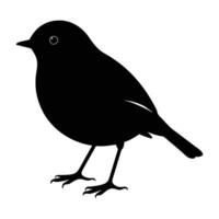 Robin standing proudly on the ground with chest puffed out boldly vector
