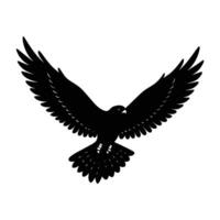 Sharp Kestrel Hovering Mid-Air with Wings Spread in a Steady Flight vector
