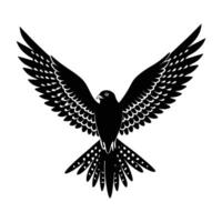 Elegant Kestrel Hovering with Fully Spread Wings in Open Air vector