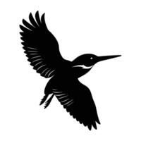 Vivid Kingfisher Diving Swiftly Toward Water with a Sharp Pointed Beak vector