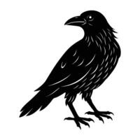 Raven perched with its beak slightly open and eyes alert vector