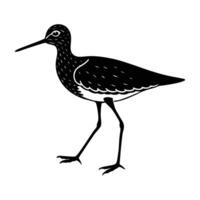 Sandpiper gracefully walking along the shoreline with a thin beak vector
