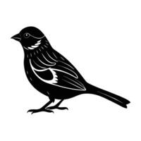 Sparrow standing with raised tail in a subtle urban bird display vector