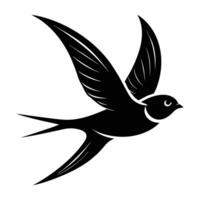 Swallow in Mid Flight with Curved Upward Wings Demonstrating Fluid Motion vector