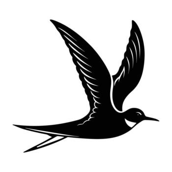 Elegant Tern Gliding Low Over Calm Water with Extended Wings in Smooth Flight vector