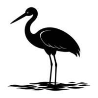 Stork standing in shallow water with long beak low for graceful elegance vector