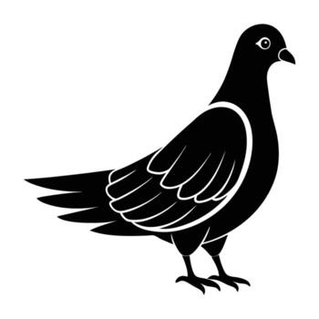 Graceful pigeon standing with wings slightly open displaying a poised silhouette vector