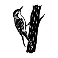 Treecreeper Climbing Up a Tree Trunk with Tail Presenting Agile Natural Movement vector