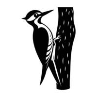 Striking Woodpecker Perched on a Tree Trunk with a Pointed Beak Silhouette vector