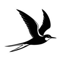 Tern Flying Low Over Water with Long Wings Spread in Graceful Motion vector