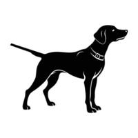 Reliable Hunting Dog in a Focused Pointing Pose for Outdoor Adventure vector