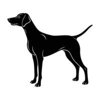 Focused Hunting Dog in a Sharp Pointing Position for Adventure vector