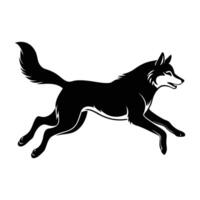 Vigorous Husky in Mid-Leap with Stretched Legs Captured in Flight vector