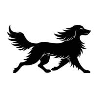 Energetic Irish Setter Running with Long Feathered Fur in Motion vector