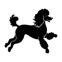 Poodle leaping gracefully with curly fur in a joyful park scene vector