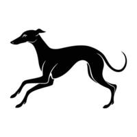 Whippet Sprinting with an Aerodynamic Body in a Clean Silhouette vector