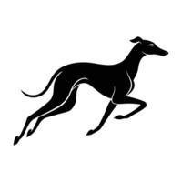 Whippet Mid-Sprint with an Aerodynamic Form in a Fluid Silhouette vector