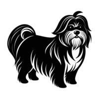 Graceful Shih Tzu standing with long flowing fur in silhouette vector