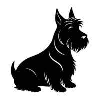 Scottish terrier sitting proudly with sharply pointed ears and alert eyes vector