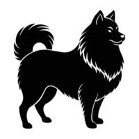 Samoyed dog standing proudly with a fluffy coat and curled tail vector