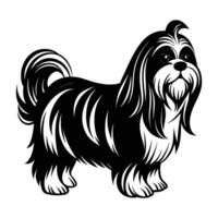 Lovely Shih Tzu standing with lush long fur in clear silhouette vector