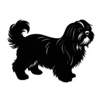 Charming Shih Tzu walking with head held high in clear silhouette vector