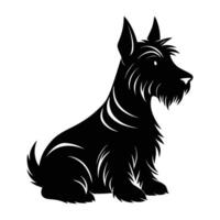 Scottish terrier displaying a proud posture with distinct pointed ears vector