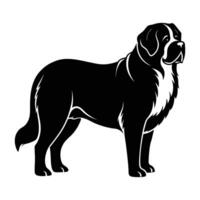 St Bernard exhibiting a robust stance with massive build and imposing strength vector