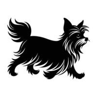 Vibrant Yorkshire Terrier Sprinting with Luxurious Silky Fur in a Dynamic Silhouette vector