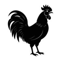 Rooster crowing loudly with head raised and beak open in morning light vector