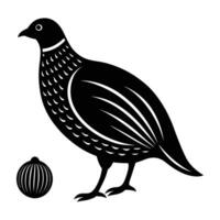 Quail appearing with a compact round body and gentle short tail vector
