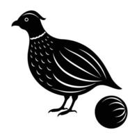Quail exhibiting a rounded small body with a delicate soft tail vector