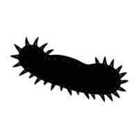 Sea cucumber lying flat on the ocean floor in natural repose vector