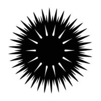 Sea urchin with pronounced sharp spines extending outward in vibrant display vector