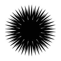 Sea urchin displaying sharp spines extending outward in a natural form vector