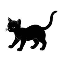 Curious Kitten Exploring with Tiny Steps and Tail Held Upright vector