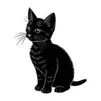 Alert Kitten Watching Intently with Ears Perked Up in Curiosity vector
