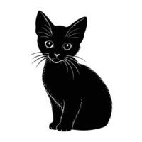Curious Kitten Observing Closely with Ears Perked in Keen Interest vector