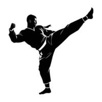 A skilled martial artist executing a high roundhouse kick with precise timing and control vector