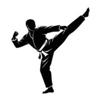 Athletic individual executing a powerful axe kick in a dynamic martial arts move silhouette vector