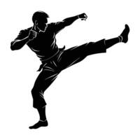 A skilled martial artist leaping forward with explosive and fluid motion in combat vector